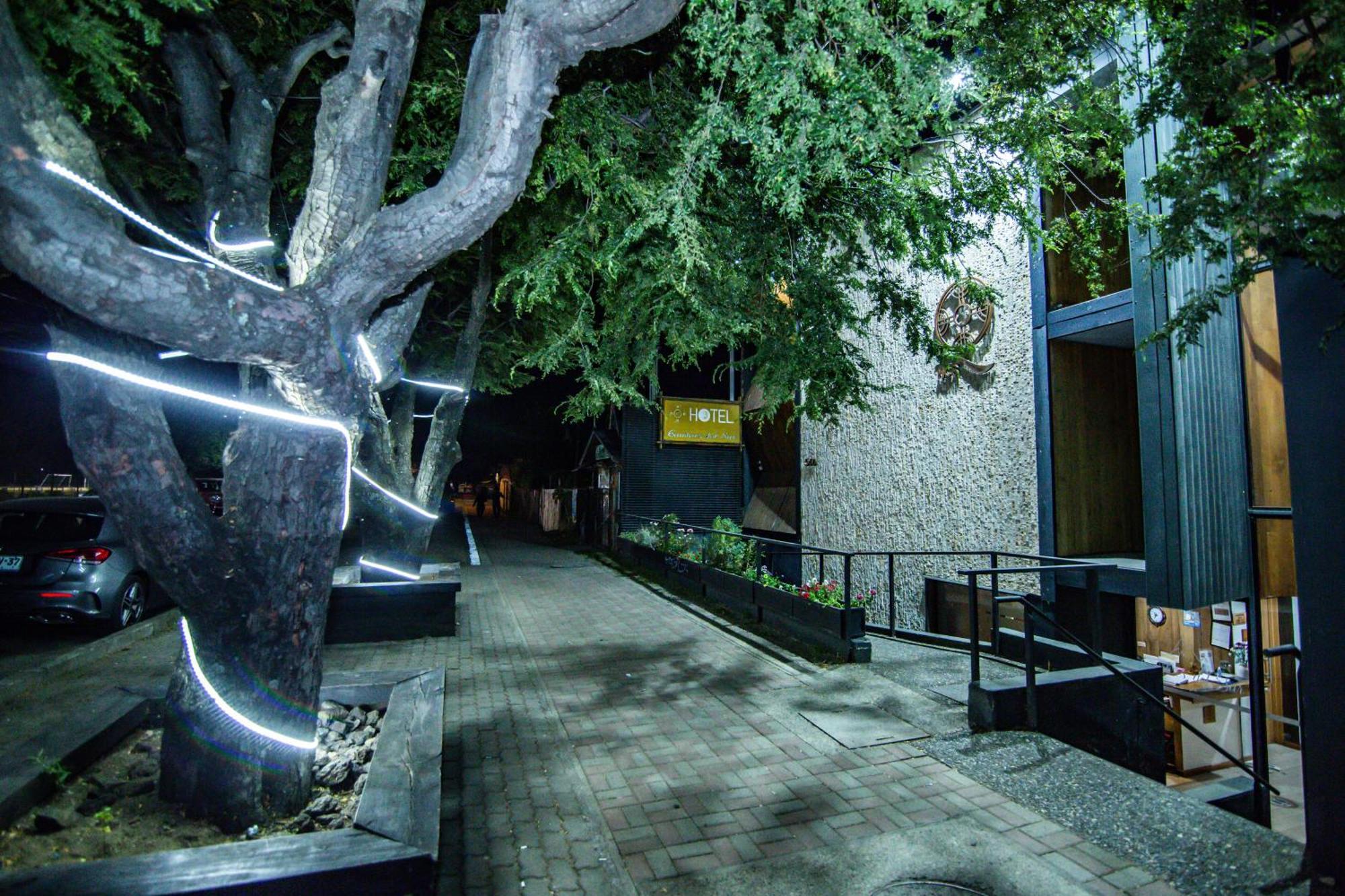 Hotel Cumbres Del Sur Pucón Zewnętrze zdjęcie